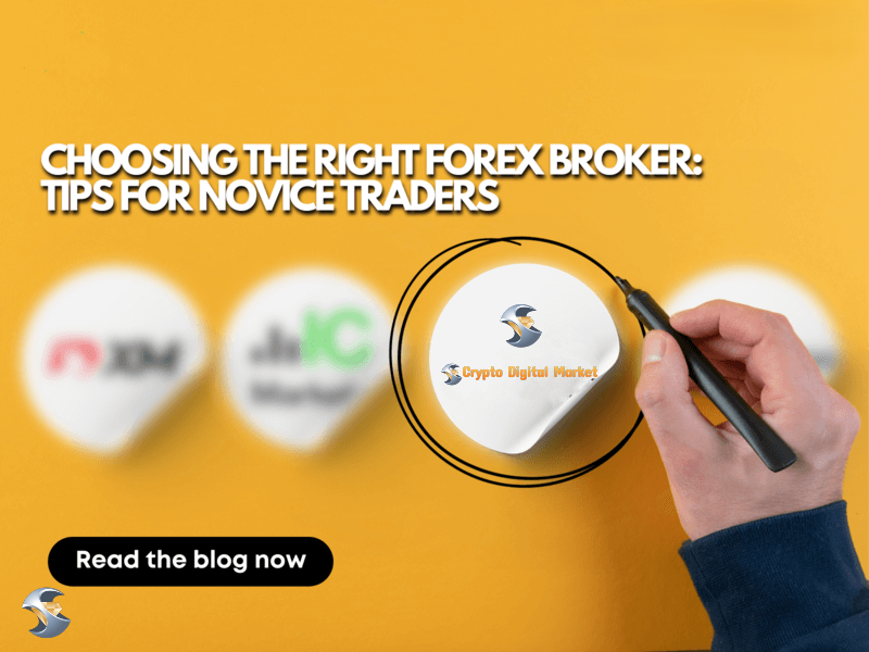 choosing-the-right-forex-broker-tips-for-novice-traders
